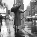 뉴욕뉴욕 이미지