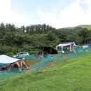 개똥이네 이미지