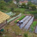 동심농장 이미지