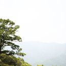 대성수자원개발 | 마로니에숲 캠핑장 소개 - 옥천 이원