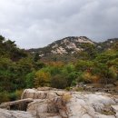 정선 이미지