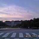 장빙수 이미지