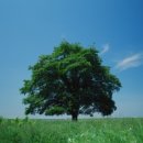 미술심리상담사 2급 자격증 과정 이미지