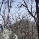 안터경로당 Daum카페