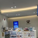 힐동물병원 | (내돈내산) 강아지 슬개골탈구 수술 후기 (푸른힐동물병원)