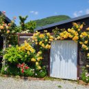 세렌의정원 이미지