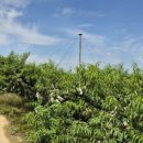 천은농장 이미지