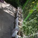 만복경로당 이미지