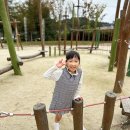 어린이 유산균 추천 엘포비키즈 정착중