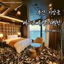 부산 기장 대변항 오션뷰 숙소 베스트루이스해밀턴 호텔 1박 후기