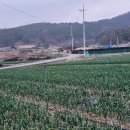 금산면사무소 이미지