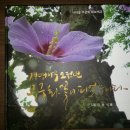 아리아리 - 서산시 | 아리아리