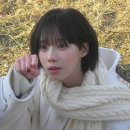 베르트본태 네이버블로그