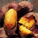 호계 효태권도장 이미지