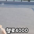 헬로4000 이미지