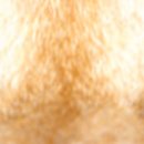 이음동물의료센터 이미지