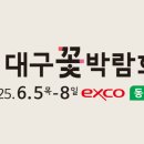 [행복대학]전문 플로리스트와 함께하는 힐링 가드닝 꿀팁 | 향기로운 봄날의 초대: 놓치면 후회할 꽃박람회 추천 &amp; 꿀팁 총정리 (대구 꽃 축제 완벽 가이드)