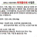 인애플라워 이미지