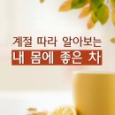 계절따라 이미지