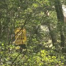 벽운클럽 이미지