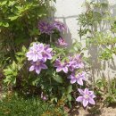 진영자이아파트 이미지