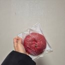 카와앤단팥빵 이미지