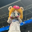 250527 삼성vs롯데 라이온즈파크 3루 익사이팅석 후기