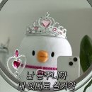 싸움의고수경주
