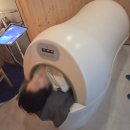 신남케어 | 마곡다이어트맛집 더마름에서 맞춤케어부터 전신돔관리까지 받은 솔직후기