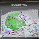 2023. 1/14(토) 1150차 서울 올림픽공원 몽촌토성 산책기 이미지