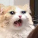 아리전자