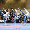 경희대명문태권도 이미지