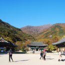 표충사 - 1903 | 표충사