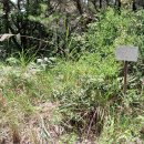 정수장추어탕 이미지