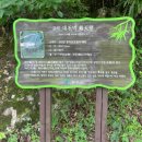 곡성-164 | 광주근교 계곡 추천 : 전남 곡성 도림사계곡