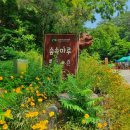 바오밥미술학원 - 칠곡군 남율로5길 53-18 | 공주 가볼만한곳 추천 연미산자연미술공원