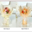 드플로레