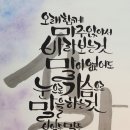 2025.10.25 (토) 걷기대회 5D친 행사/강릉아트센터 이미지