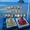 천만금 | 태안 오션뷰 빙수맛집 천만금 카페후기