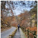 단양읍사무소 | 소백산 가을 단풍 하이킹 + 구인사 – 다리안폭포·천동 탐방지원센터·비로봉 코스
