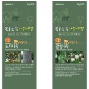 나무여행 이미지