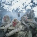 크리스탈사우나 이미지