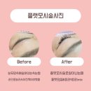 24시속눈썹잘하는집