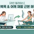 근본을 잡는 1:1 개인 레슨 실제 후기[라인필라테스][시지필라테스][고산필라테스][알파시티필라테스]