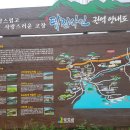 탐진사인