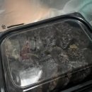 경주박가국밥 토곡분점 이미지