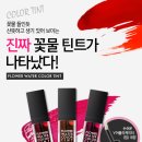 틴트랩 - 순천시 명말2길 10 | 틴트랩