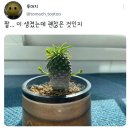 덕소로116번길1 이미지