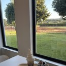 제주조랑말타운 | [제주여행] 목장카페 밭디 | 조랑말 힐링 카페🐴 | 우유아이스크림 맛집