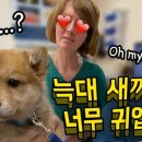Be동물병원